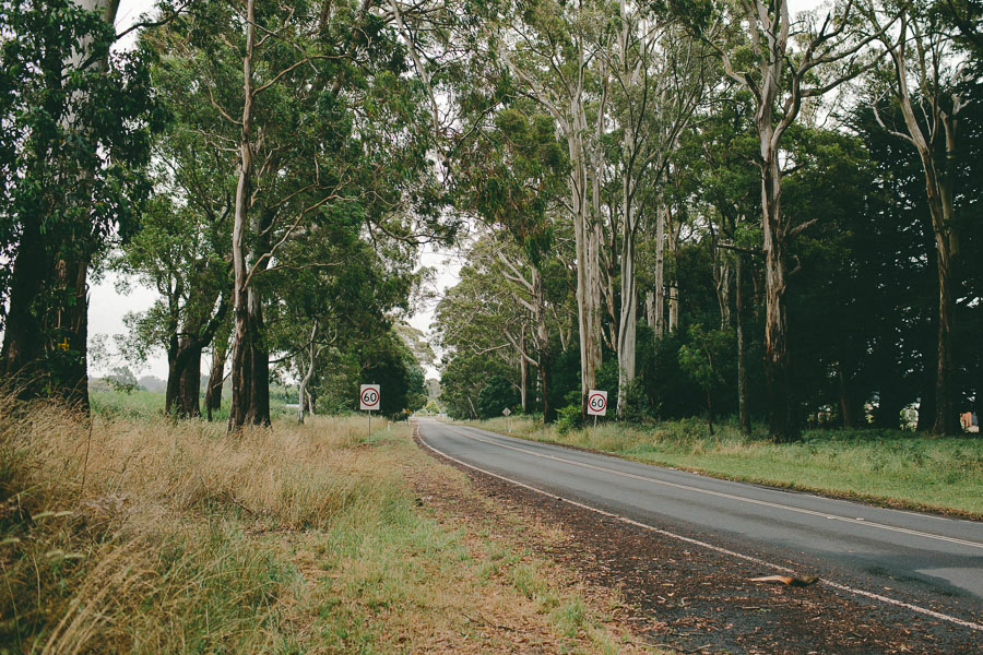 jessnicholls_trenthamwedding_katie&thomas0003